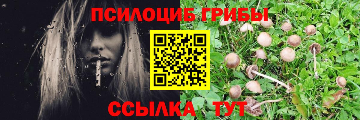 Галлюциногенные грибы GOLDEN TEACHER  Вход с VPN  Иваново 